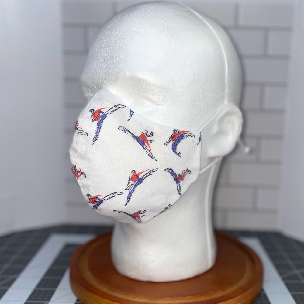 Martial arts facemask taekwondo